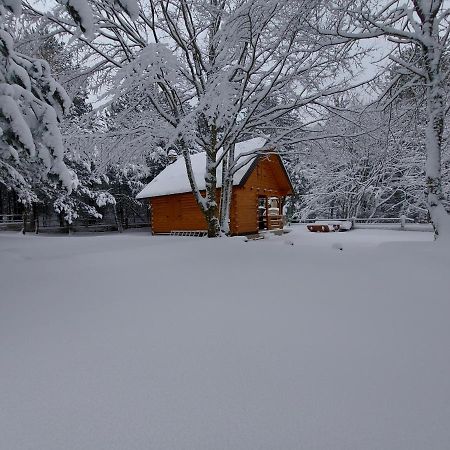 Cabin House Hidden Nest موستار المظهر الخارجي الصورة